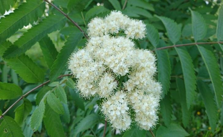    фото из архива Курских известий