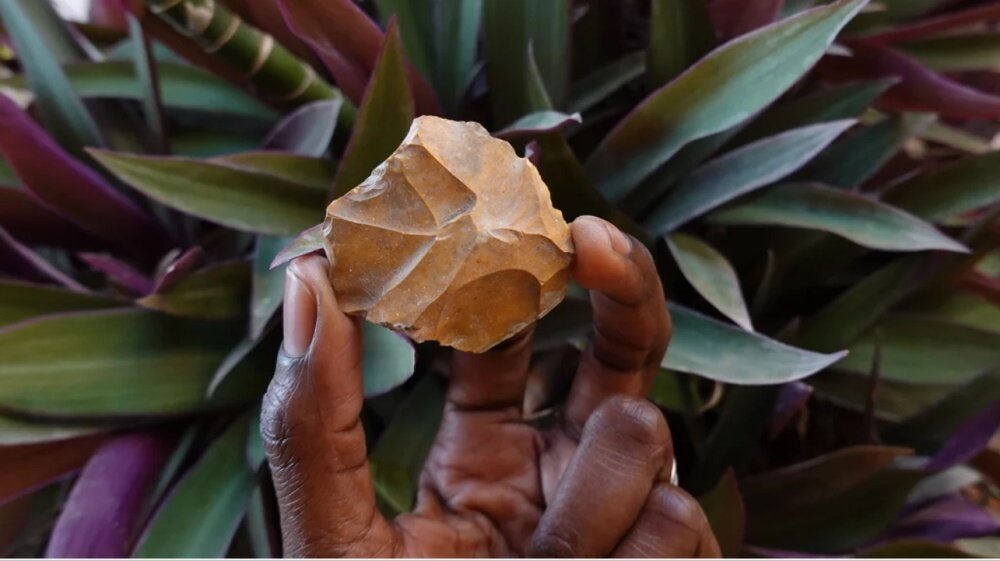    Фото: Институт геоантропологии им. Макса Планка