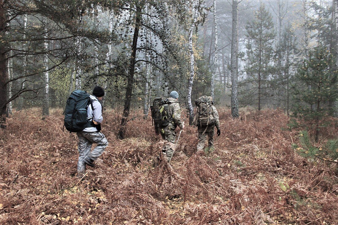 Фото из открытых источников