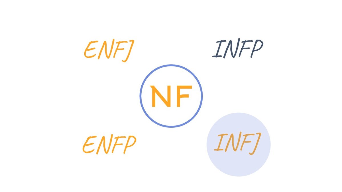 4 вариации мета-типа NF 