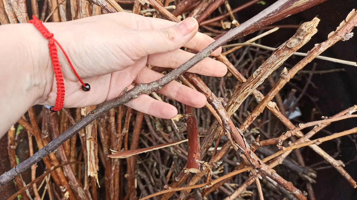 Материал для творчества есть везде, было бы желание творить...