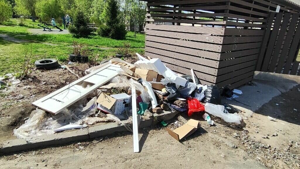     Петрозаводчане продолжают жаловаться на неудовлетворительное содержание мусорных контейнеров и несвоевременный вывоз мусора, делясь своим возмущением в социальных сетях.