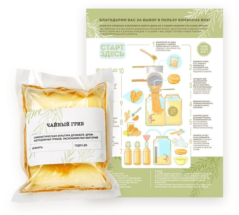 Чайный гриб "KOMBUCHA BOX" + инструкция по ссылке:
https://market.yandex.ru/product--chainyi-grib-kombucha-box-instruktsiia/1422784775?cpc=vntblLqj3Hzguew79TJ-Phc6fk2DGiGyeQStSTLaRZ2ye-NBz1sF1QZ9UOLDz-HB5swkmHAv5wY9Hl1xgTnIDXuo0RwajP0WRKTRhnm71Z0OKI7k2skGVjc4dp0BlfRqADr1ekrxynRRh_6cBGeCskcR2BM174VVMgDjC2OFCu5kC3pjkj0J8g3UCa9dPrrRdvdEtNeUWJQ%2C&sku=101427244087&offerid=7VCqv_HCsnmf8kpfqjp0Vw&cpa=1