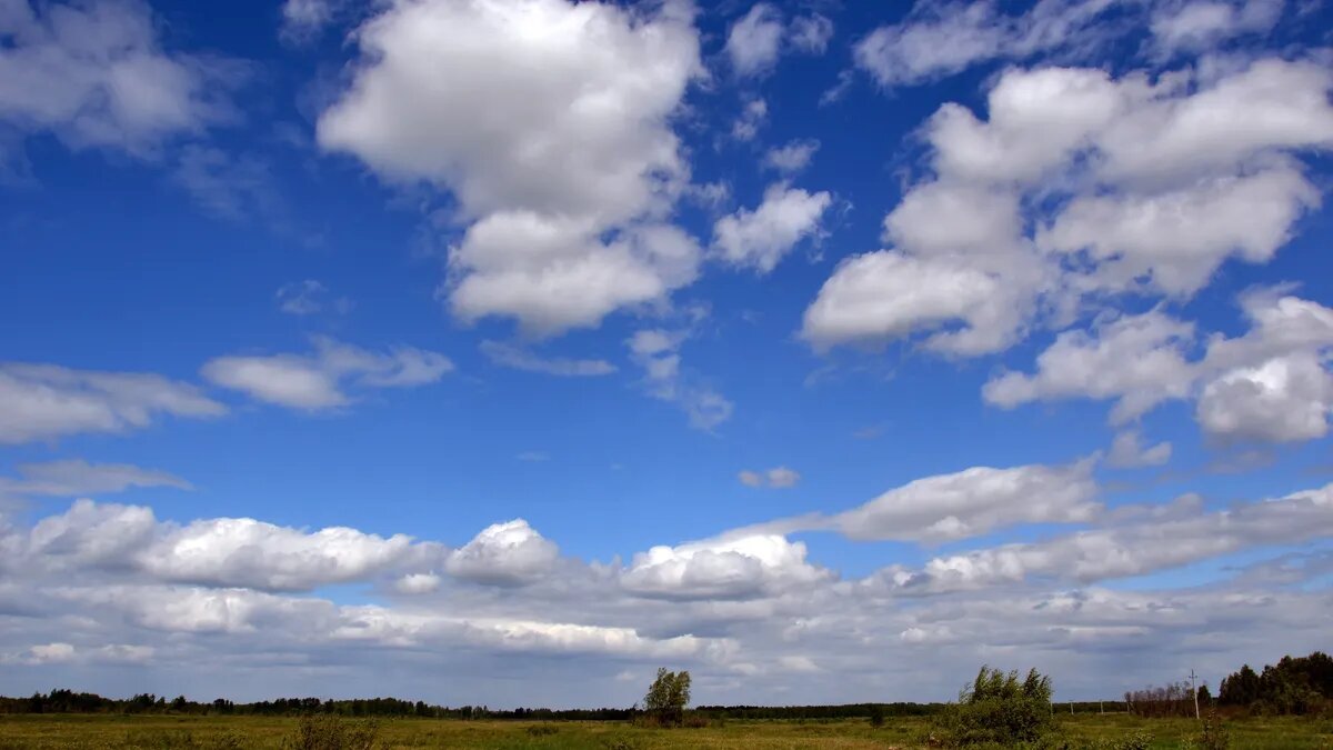 Существует несколько примет, связанных с этим днем. Фото: Pxfuel.com