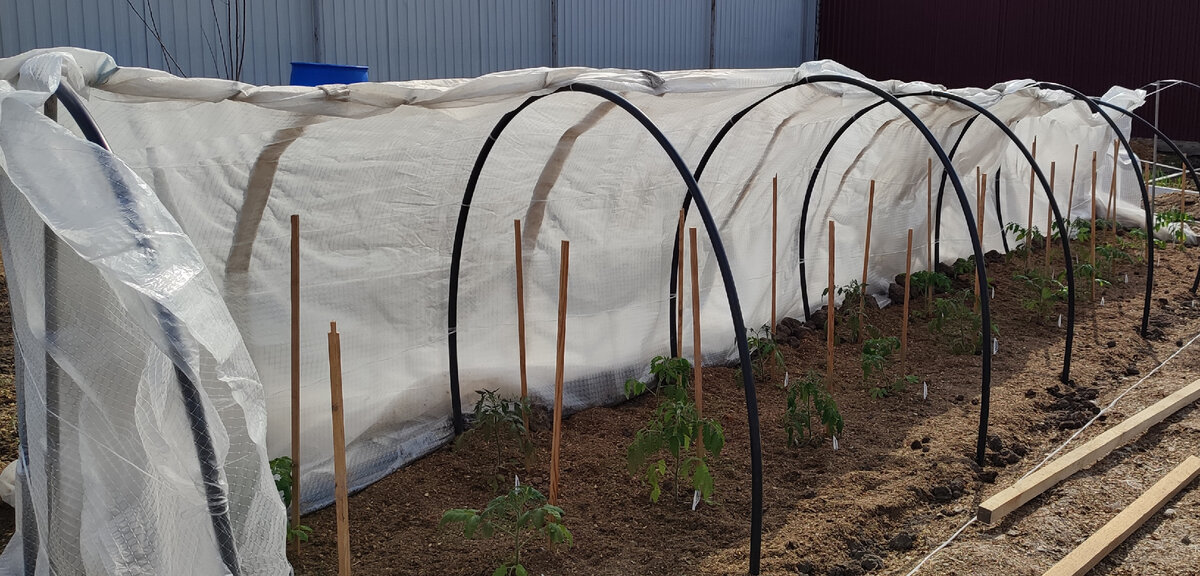 Весь день сажала одну грядку 😅