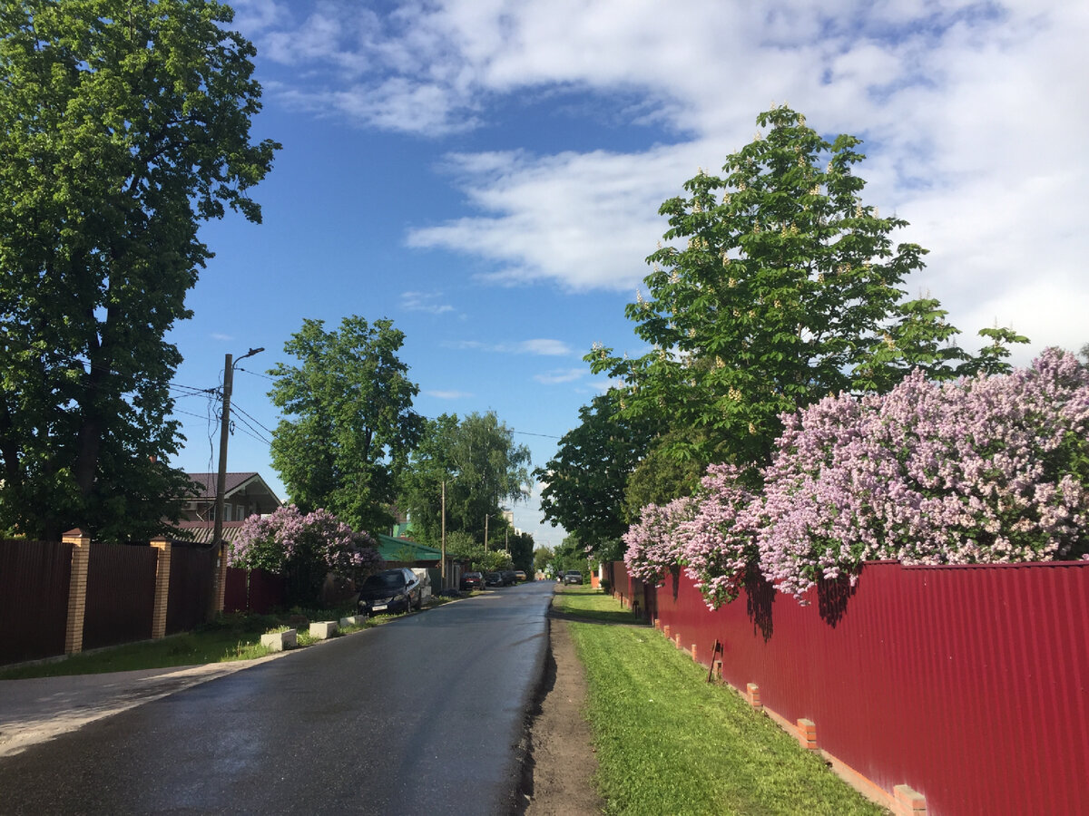 Одинцовская улица в Троице-Лыкове. Фото сделано автором и принадлежит автору 