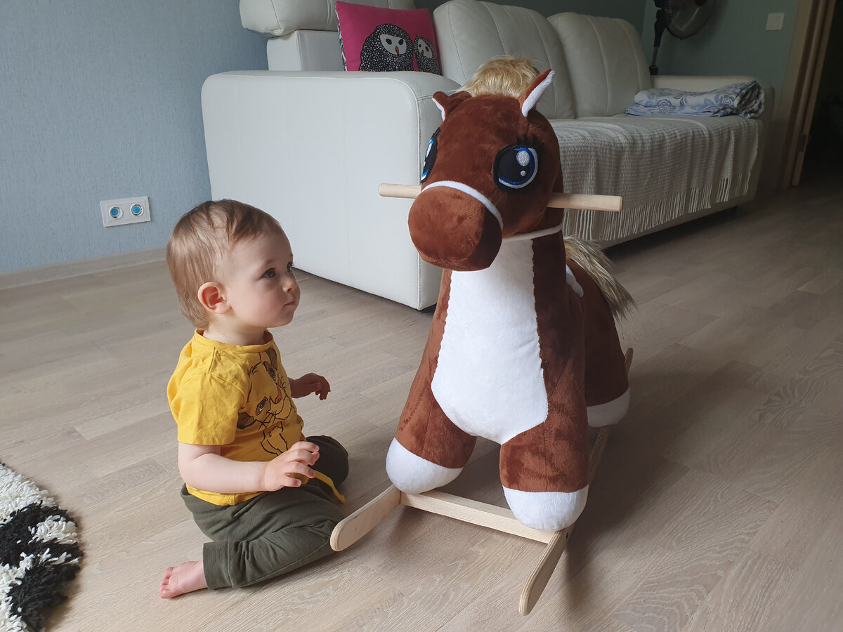 Та самая лошадка и годовалый Саня