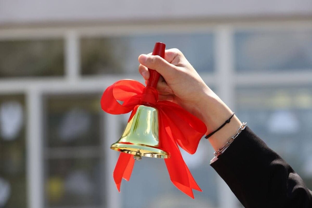 Фото : pulse.mail.ru