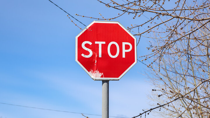 ФОТО:@ELENA MAYOROVA/GLOBALLOOKPRESS