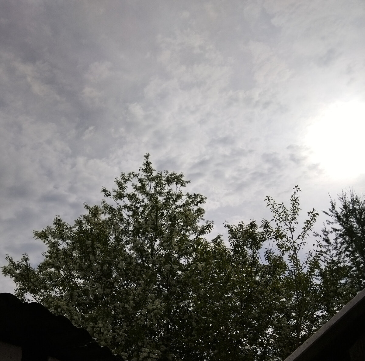 Скоро грянет гром...