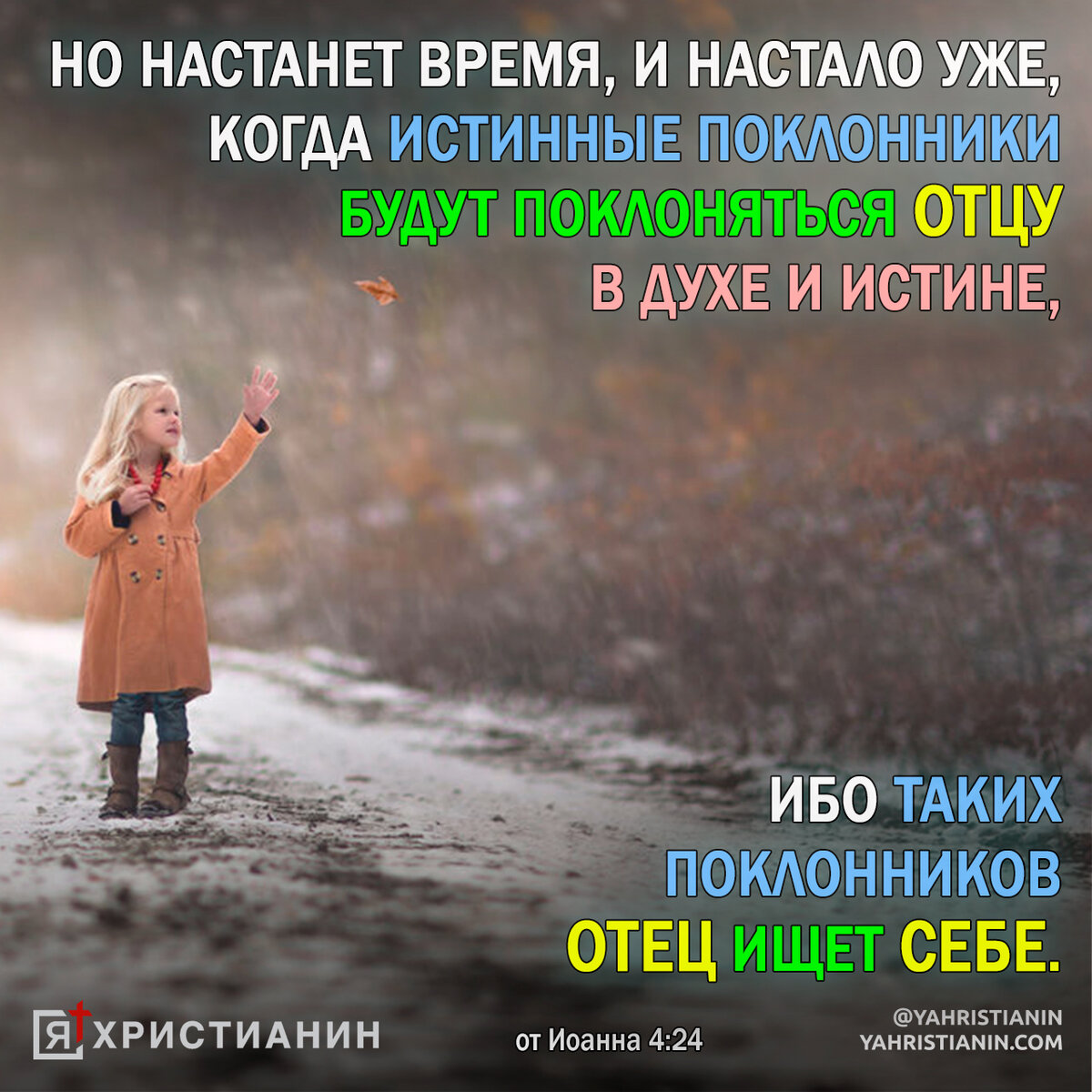 Из открытых источников Яндекса.