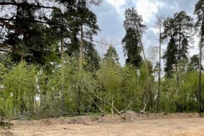    Полуразрушенную постройку снесли в Раменском после обращения жителей на «Добродел» © Пресс-служба Комитета по архитектуре и градостроительству Московской области