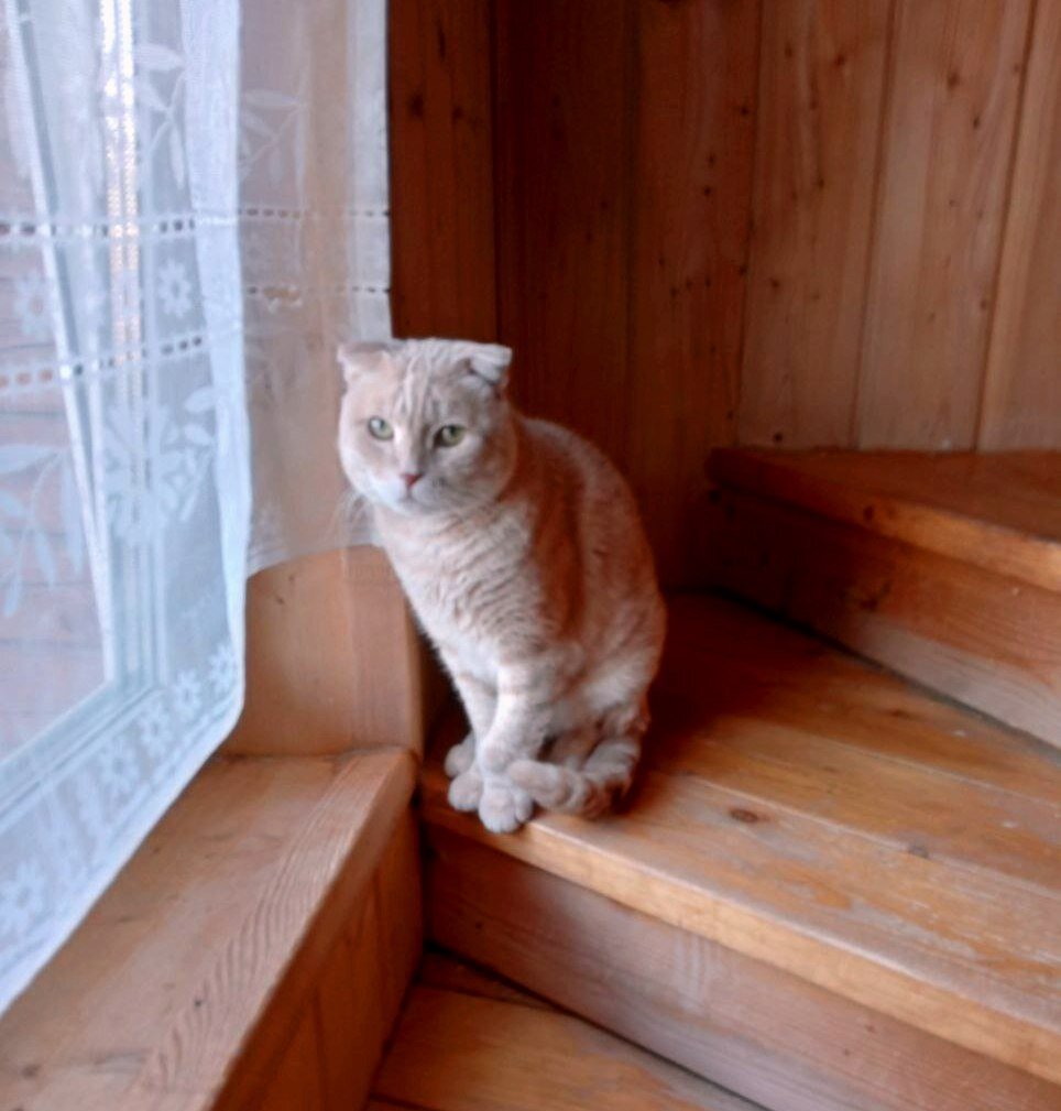 Фото из домашнего архива