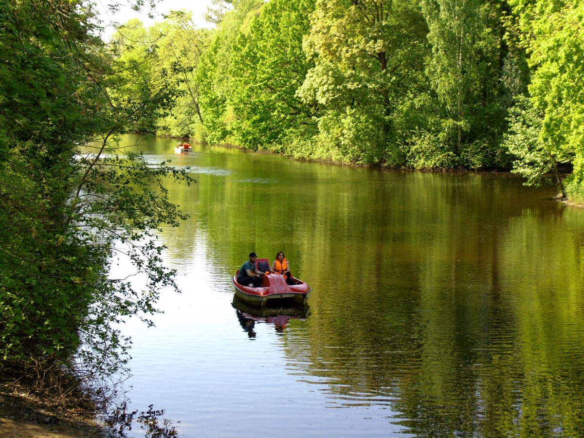 Елагинская идиллия! Потому что на воде можно спрятаться от людей. Фото автора