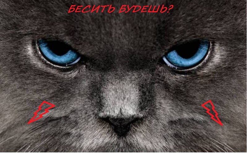 Бесит все!