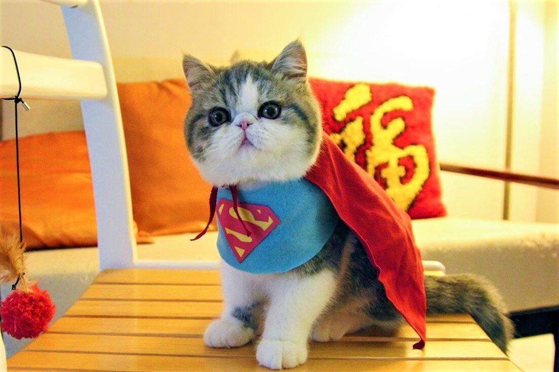 ���� � �� ���������. �������� ����: pikabu.ru