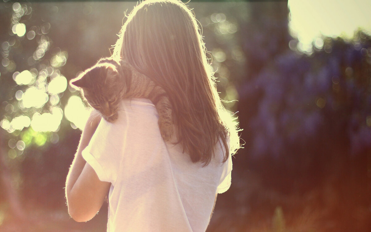 Фото: интернет