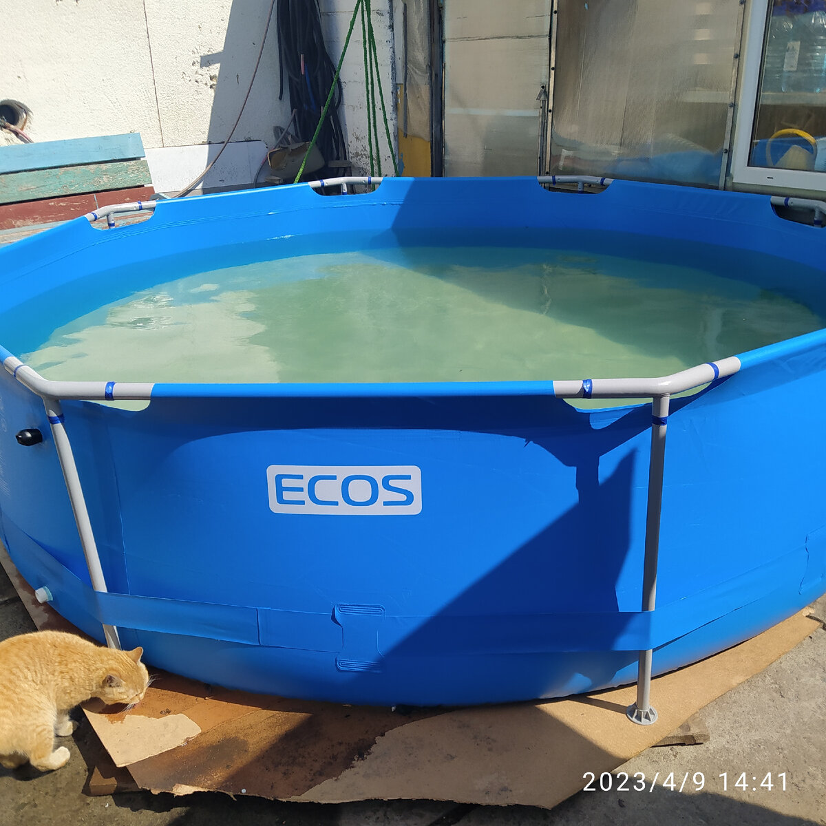 Бассейн и Рыжик))