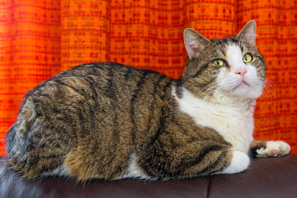 ���� � ����� �������� ������������ ������ ��&nbsp;���� ��������. �� ��&nbsp;������ ������ ��������� ��&nbsp;����� ���������, ������������ �����.-3