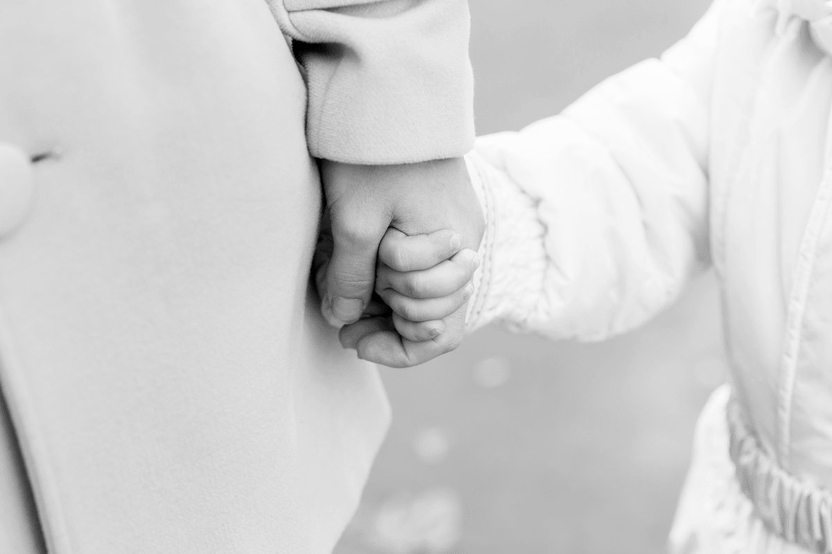 Фото из открытых источников.