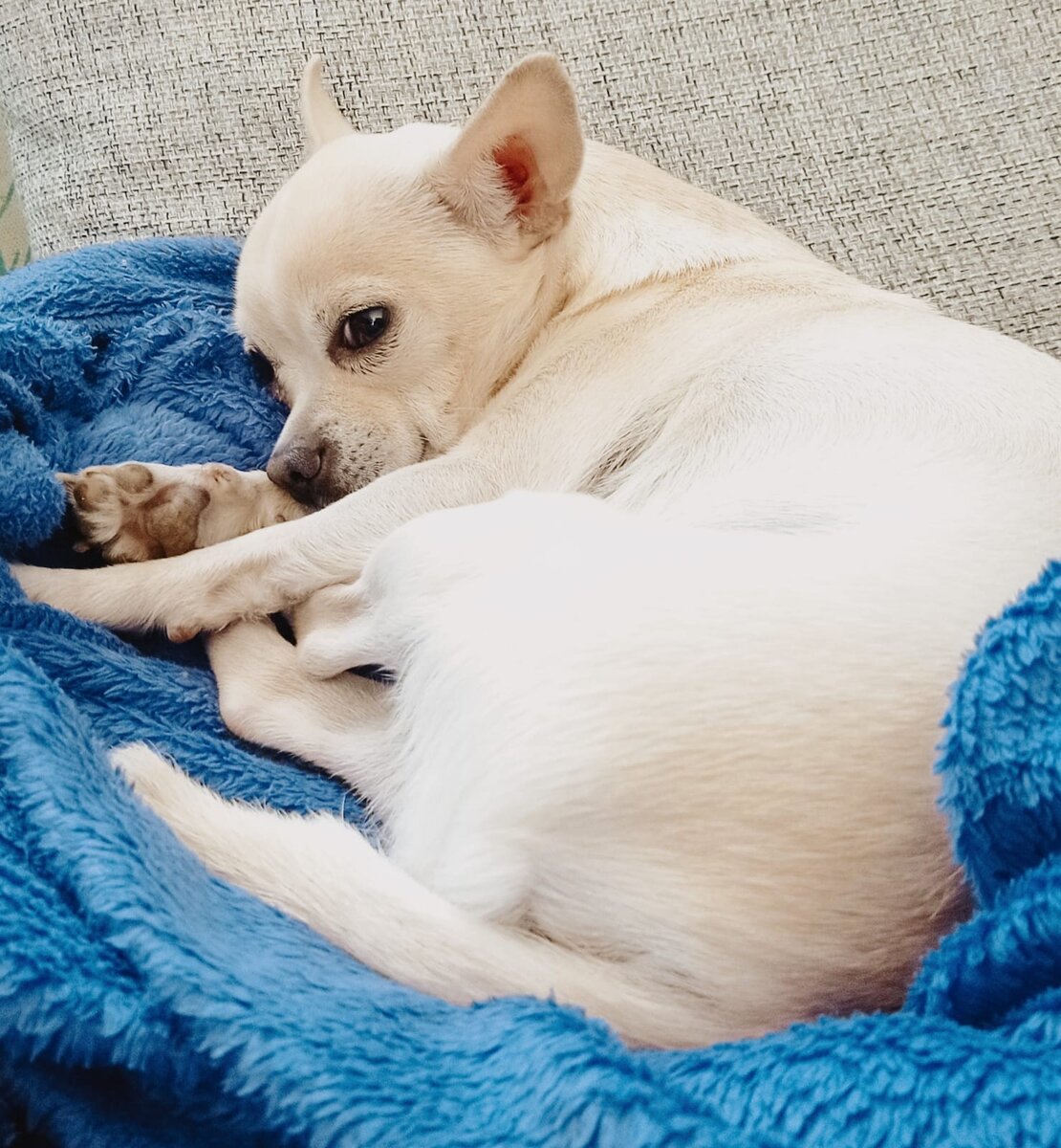 главные помогаторы вместо нас отдыхали, чтоб никому обидно не было))