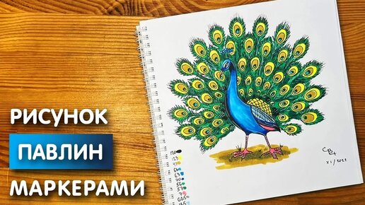 Как сделать и нарисовать павлина. Павлин из бумаги.