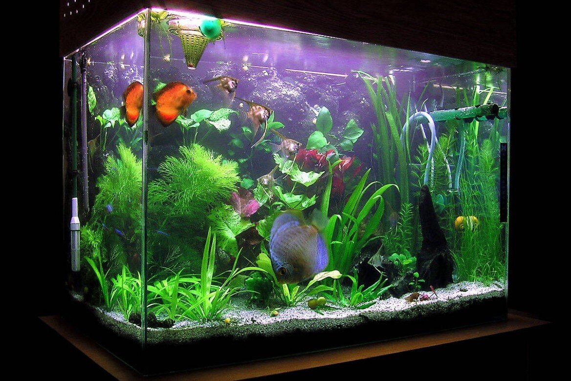 Мир под водой