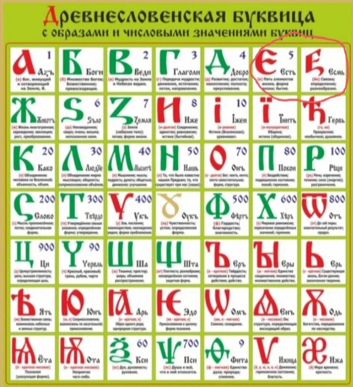 Фото из открытого источника