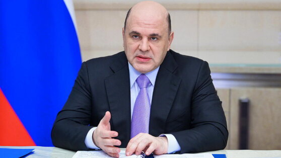    Премьер РФ заявил о рекордном сокращении проверок бизнеса Анна Оленькова