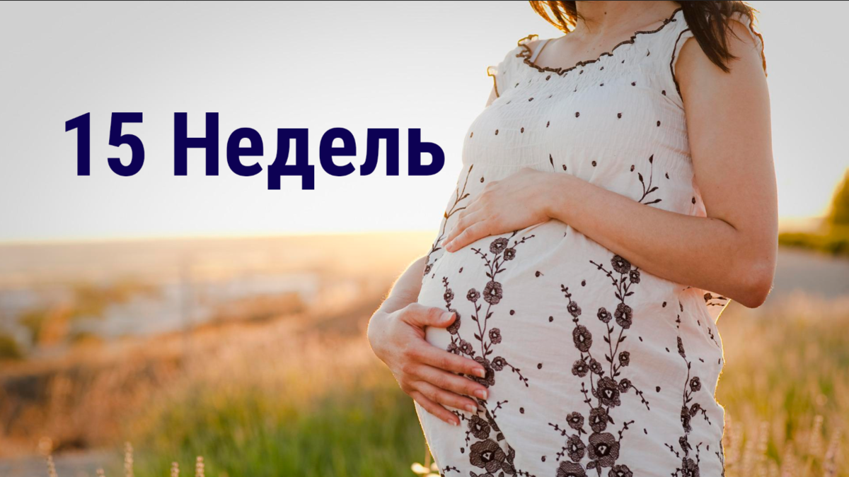 Беременность 15 недель | 👶🏻KROHIPRO👶 - Беременность, питание, подготовка  к родам, воспитание детей - Всё о детях и их родителях🤱🏻 | Дзен