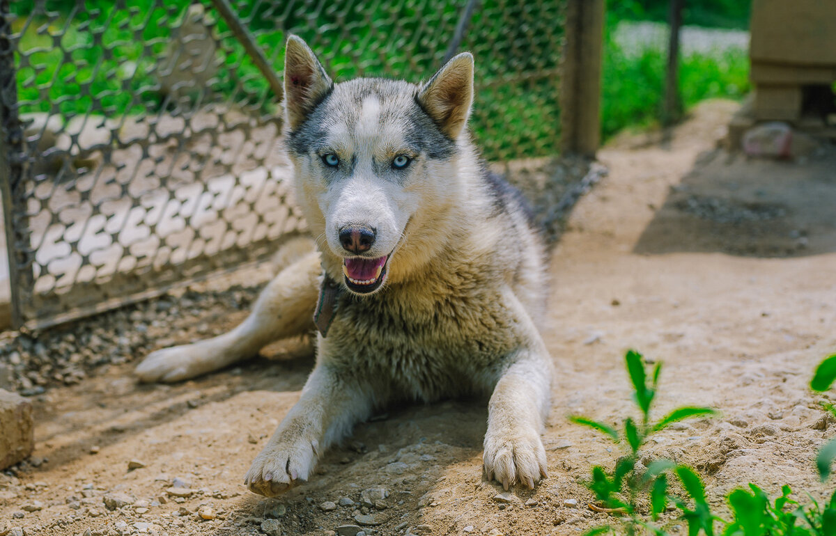 Прекрасная Хася - 8 месяцев