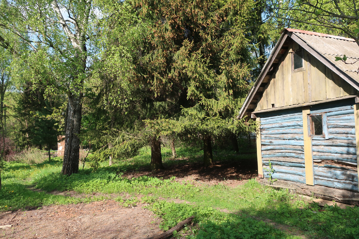 15 мая баня еще стояла - ну, по состоянию на утро (фото И.Лебединского)