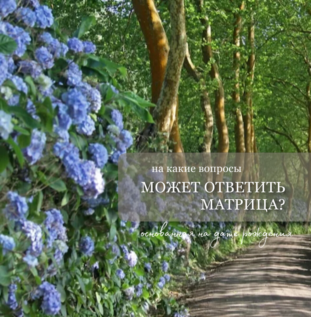 Психология по дате рождения. Статистический психоанализ