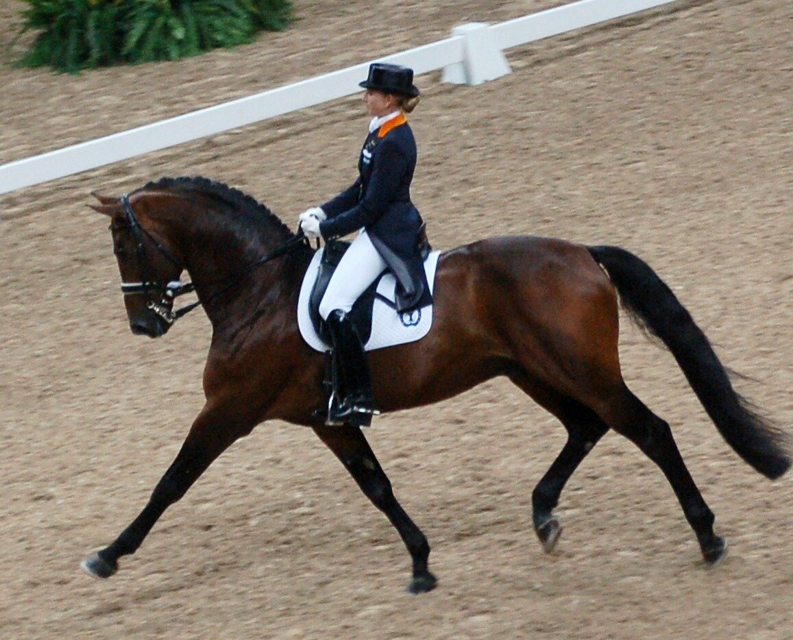 Елена Щербина конный спорт