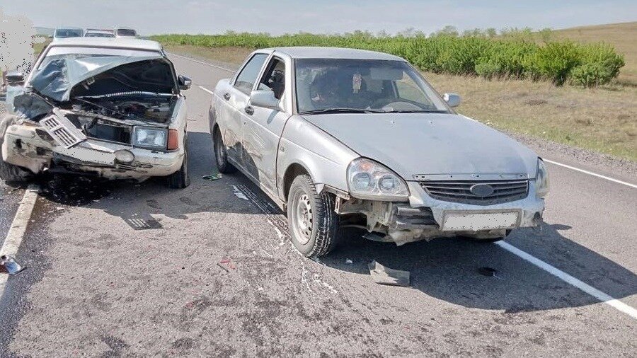     В Хакасии корова вышла на проезжую часть и спровоцировала аварию, в которой пострадала шестилетняя девочка.