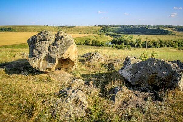    Фото: из открытых источников