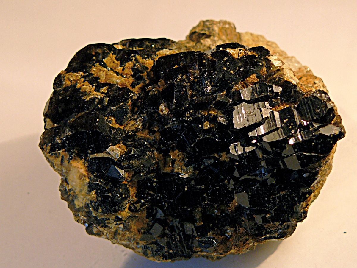 МОРИОН, МУСКОВИТ - Н. Алабашка, 1967г.