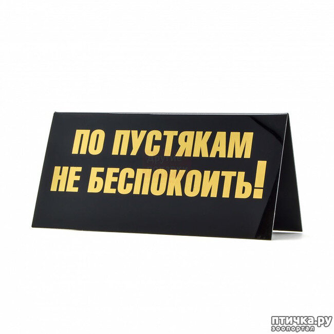 Фото из открытых источников интернета. https://www.ptichka.ru/post/kotorye-tut-vremennye-slaz-8474/