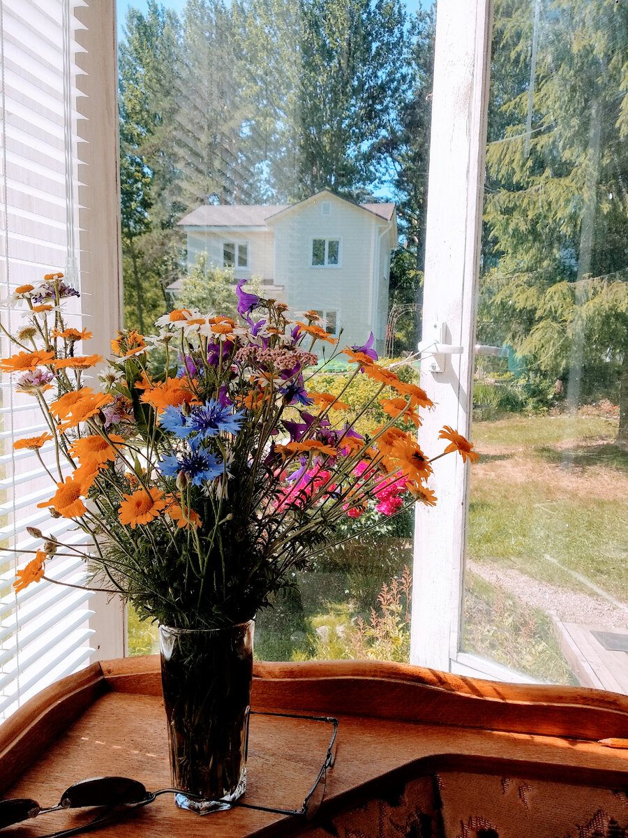 Наша дачная жизнь, 2019 год