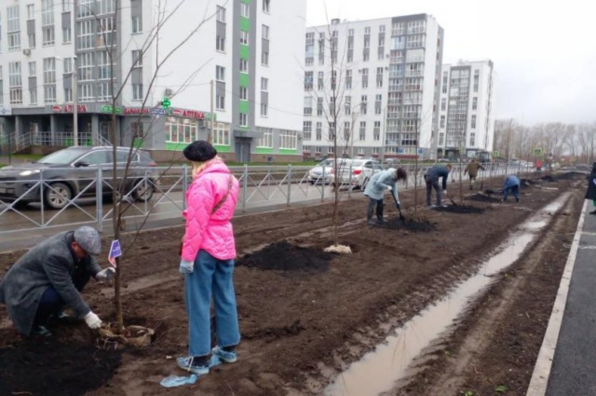    В Башкирии высадят более 80 тысяч крупномерных деревьев и саженцев