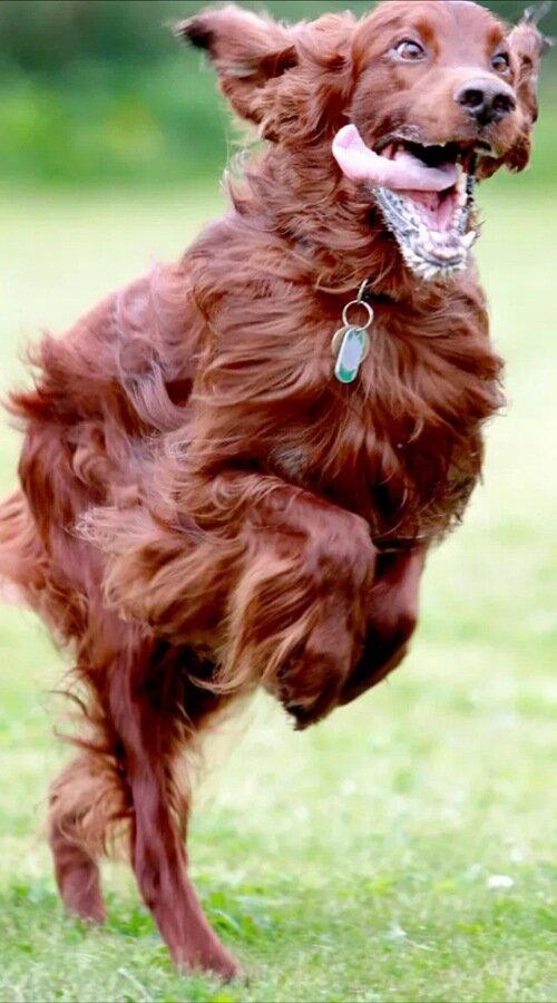 Фото из свободного доступа в интернете