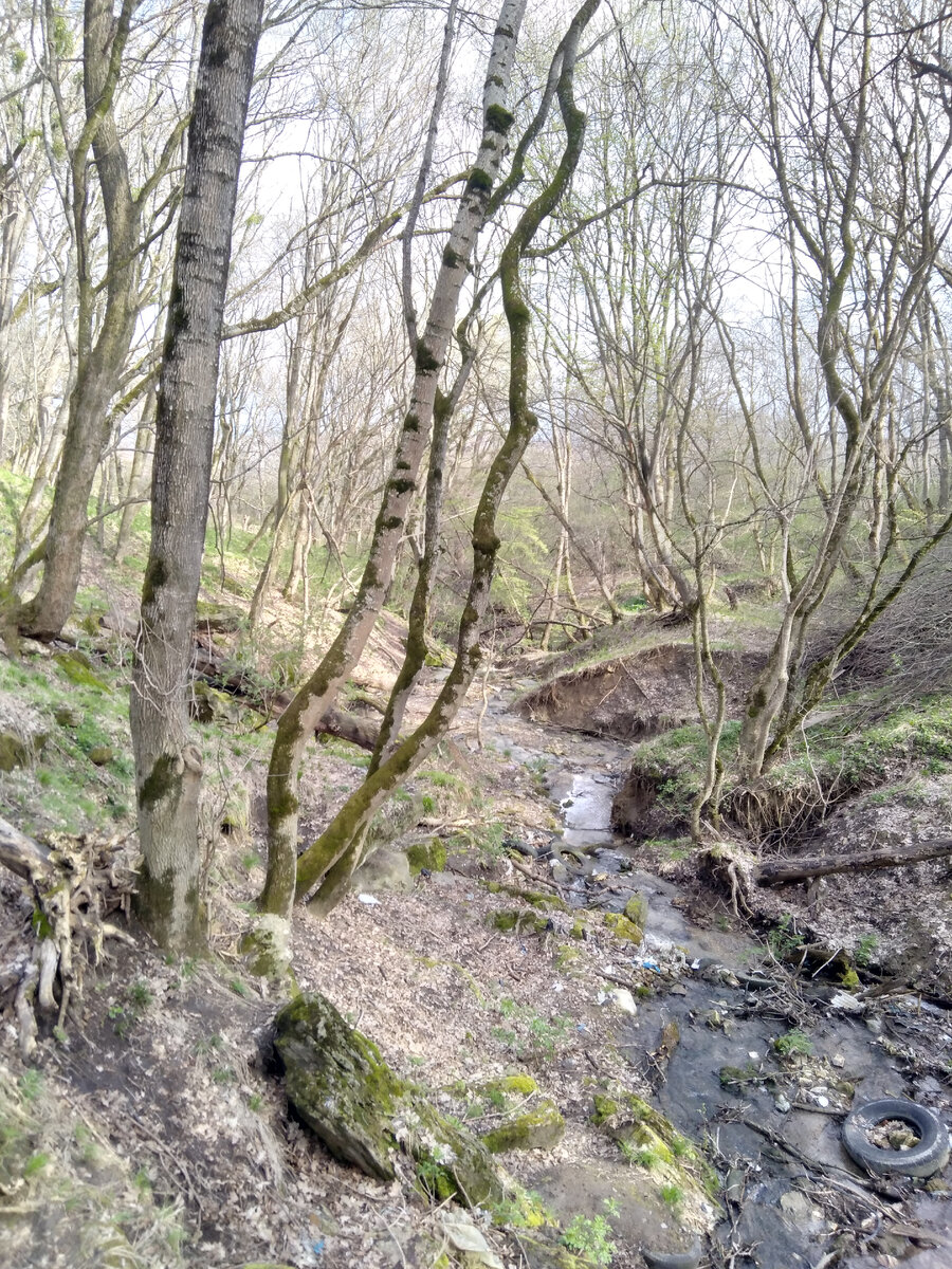 Фото автора. Сейчас пить от сюда бы я не рискнул но пару сотен лет назад была одна из вкуснейших вод  в городе 