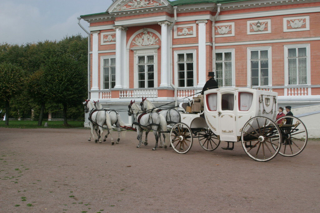 Яндекс картинка