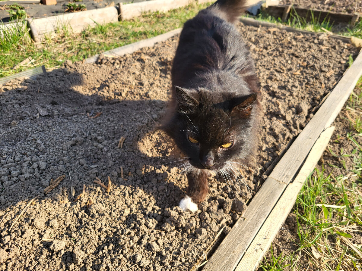 В статье использованы фото автора