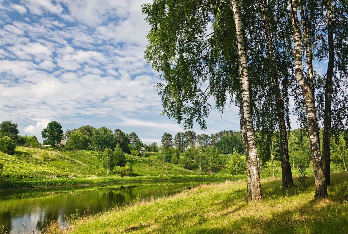 Источник - яндекс фото