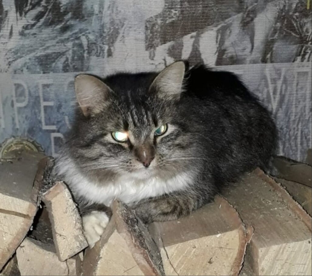 Франт