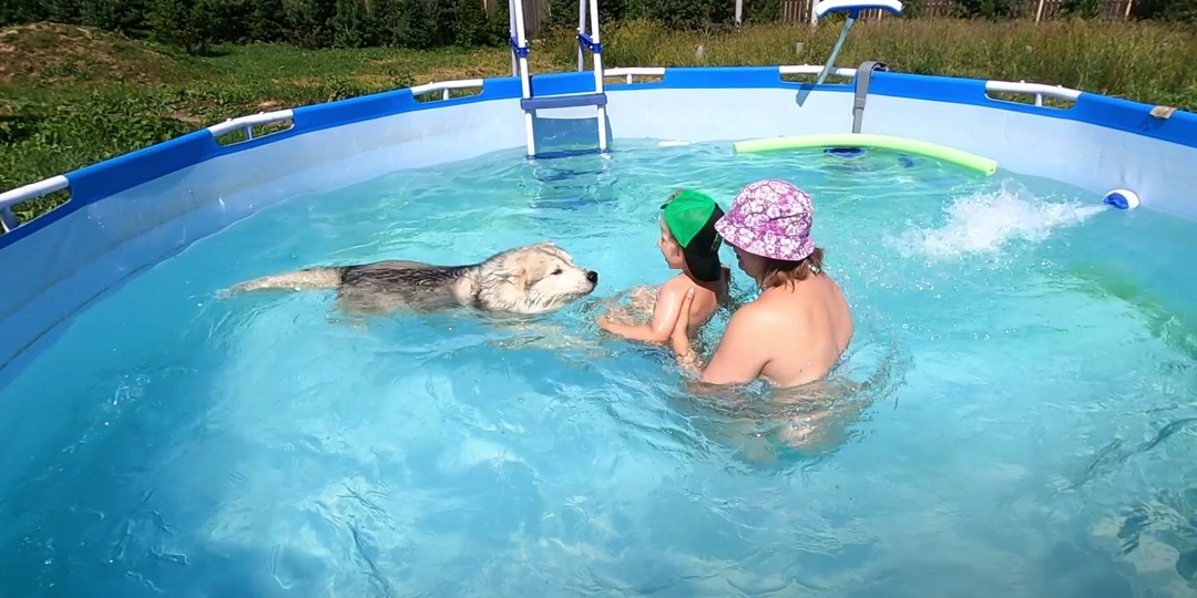 Хорошее начало дачного сезона с 10 Хаски.