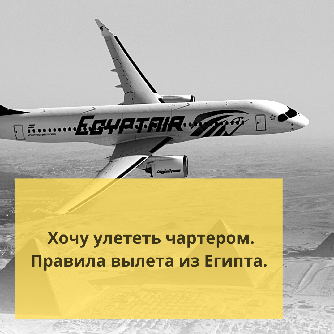 Девушка отпускает птицу. Улетающий самолет. Тина кароль ноты для фортепиано. Девушка парит в небе. Кароль я хочу улететь.