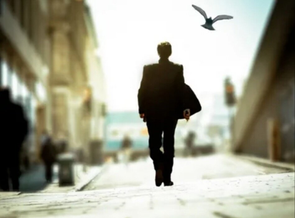 Фото: Яндекс