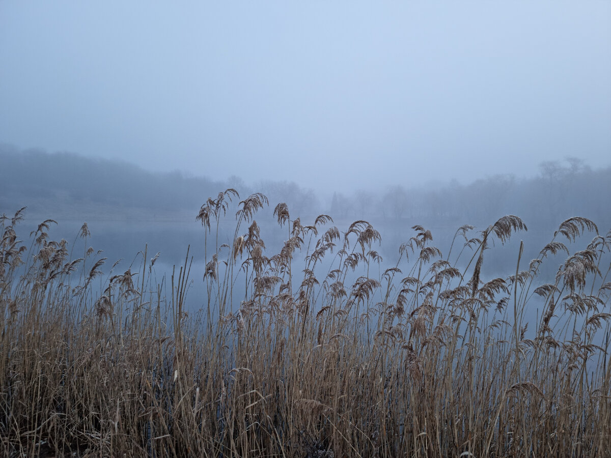 Есть что-то мистическое в подходе к реке ранним утром...